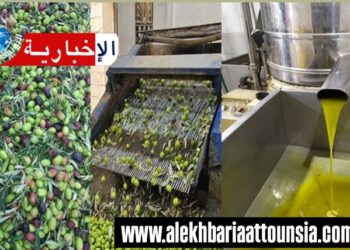 الترفيع في أسعار عصر الزيتون..