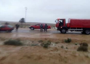 جرفتها مياه وادي دزيرة: تواصل البحث عن راعية اغنام في بوسالم..