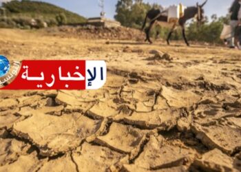 فلاحو هذه الجهة يستغيثون: الجفاف يهدد محاصيلنا..