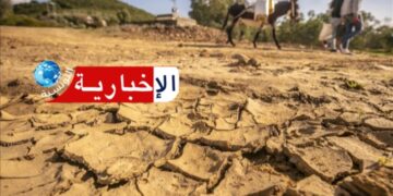 فلاحو هذه الجهة يستغيثون: الجفاف يهدد محاصيلنا..