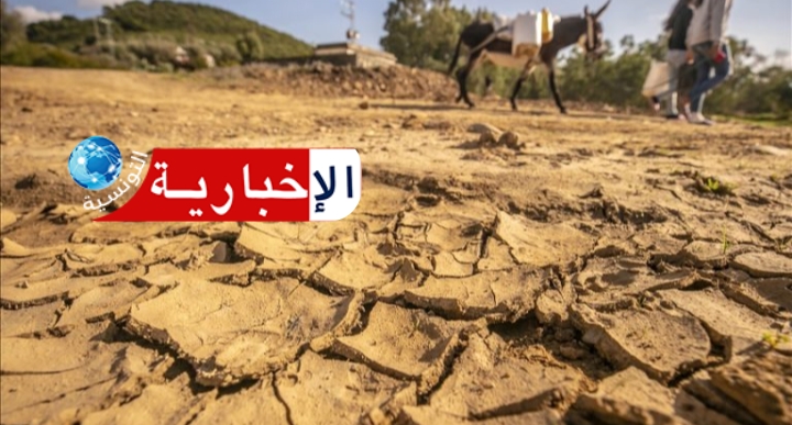 فلاحو هذه الجهة يستغيثون: الجفاف يهدد محاصيلنا..