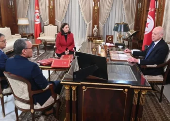 رئيس الجمهورية:”رغم الإرث الثقيل… سنرفع المعاناة عن كلّ تونسي”..