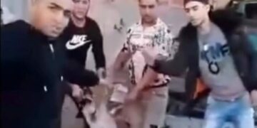 (فيديو مفزع هز التونسيين)- شبان يعذبون كلبا ويذبحونه..وهذه العقوبة التي تنتظرهم وفق القانون..