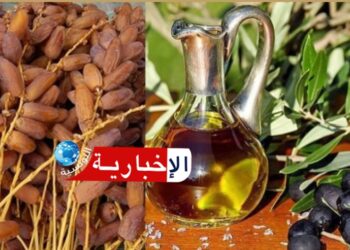 (على رأسها زيت الزيتون والتمور)-صادرات تونس نحو المغرب تصل إلى 973 مليون دينار في 2025..