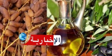 (على رأسها زيت الزيتون والتمور)-صادرات تونس نحو المغرب تصل إلى 973 مليون دينار في 2025..