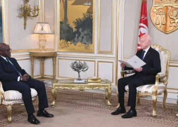 رئيس الجمهورية: تونس تعتزّ بانتمائها الأفريقي