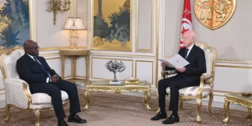 رئيس الجمهورية: تونس تعتزّ بانتمائها الأفريقي