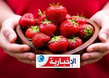 اشكاليات صحية في “الفراز”: رئيس الهيئة الوطنية للسلامة الصحية للمنتجات الغذائية يوضح..