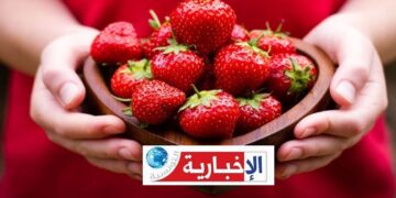 اشكاليات صحية في “الفراز”: رئيس الهيئة الوطنية للسلامة الصحية للمنتجات الغذائية يوضح..