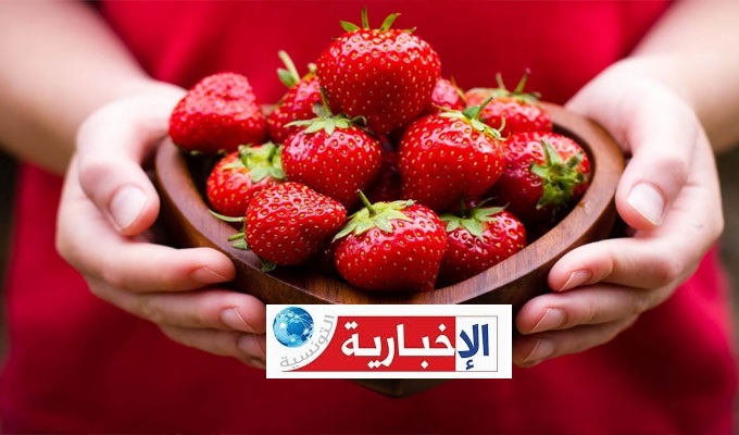 اشكاليات صحية في “الفراز”: رئيس الهيئة الوطنية للسلامة الصحية للمنتجات الغذائية يوضح..