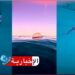 (ارتفعت أعداد الحريقة وظهرت باكرا في السواحل التونسية)-أخصائية تكشف..