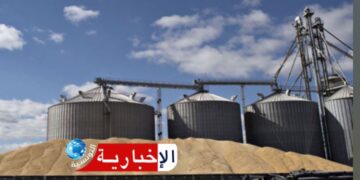 (تحسبا للأمطار)- ديوان الحبوب يحذر ويدعو إلى اتخاذ اجراءات وقائية..