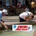 ألمانيا تحذر من موجة حر جديدة..