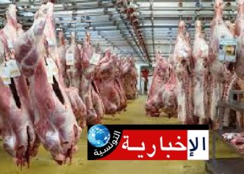 أسعار لحم ”العلوش” نار: وزارة التجارة تتدخّل..