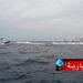 البحث عن 23 مفقودا تونسيا شاركوا في عملية ‘حرقة’ من سواحل قربة..