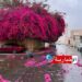 هكذا سيكون طقس اليوم..