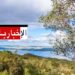(لمن يهمّه الأمر)- هكذا سيكون طقس ”الويكاند”..