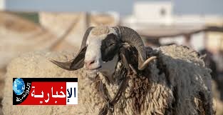 هكذا سيكون الطقس في أول أيام عيد الأضحى