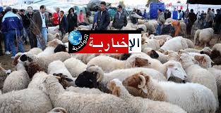 أكثر من 30% من التونسيين لا يستطيعون اقتناء الأضاحي هذا العام