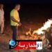 سيدي بوزيد: ‘قذيفة النار’ للحدّ من انتشار الحشرة القرمزية