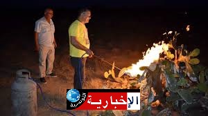 سيدي بوزيد: ‘قذيفة النار’ للحدّ من انتشار الحشرة القرمزية