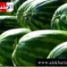 (فديوات “الدلاع والبطيخ”)-هيئة السلامة الصحية تتّخذ هذا الاجراء