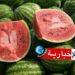 (بعد الضجة الكبيرة)- نقابة الفلاحين تحسمها بخصوص “الدّلاع”..