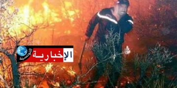 (سليانة)- حريق يأتي على 5 هكتارات حصيدة و300 حزمة تبن في حمام بياضة..
