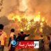 إندلاع 5 حرائق خلال 12 ساعة بهذه الولاية..