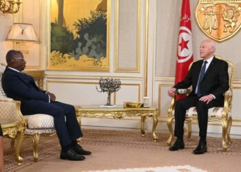 رئيس الجمهورية: “تونس ترحّب بالأشقاء الأفارقة لكن لن تسمح بالخارجين عن القانون”