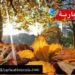 هكذا سيكون طقس اليوم..