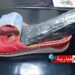 تفاصيل جديدة عن ضبط أكثر من 6 كغ ‘”كوكايين” لدى مسافرة بمطار تونس قرطاج..