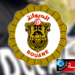 (بقيمة جملية تتجاوز 330 مليون دينار)- تحرير حوالي 8864 قضية ديوانية خلال هذه الفترة..