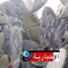 42 بؤرة للحشرة القرمزية في هذه الولاية..