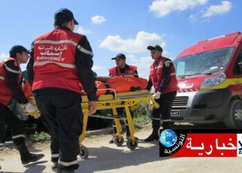 إصابة 5 أشخاص في حادث اصطدام شاحنة ونقل ريفي..