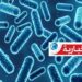 (يختبئ في أطعمتنا)- وزارة الصحة تحذّر من هذا “العدو الصامت”..