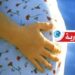 (احدى الضحايا حامل)- يدّعي العلاج بالرقية الشرعية لإقامة العلاقات الجنسية في هذه الولاية..!!