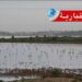 إقرار هذه الاجراءات لمداواة البعوض بسبخة السيجومي..