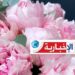 تحت شعار “بورد أريانة… تونس مزيانة”: موعد انطلاق الدورة 29 لعيد الورد بأريانة..