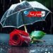طقس اليوم ممطر..