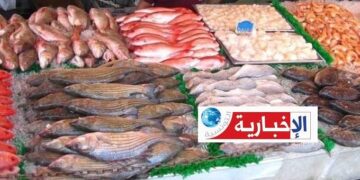 هكذا أثّرت الأحوال الجوية على إنتاج الأسماك وأسعارها..