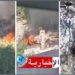 (تم توثيق جريمتها بالفيديو)- القبض على امرأة تحرق القطط..