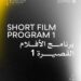 Here is a precise professional English translation with validated film titles and details