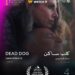“كلب ساكن” يفوز بجائزة أفضل فيلم في مسابقة آفاق السنما العربية بمهرجان القاهرة السينمائي الدولي الـ46