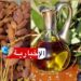(على رأسها زيت الزيتون والتمور)-صادرات تونس نحو المغرب تصل إلى 973 مليون دينار في 2025..