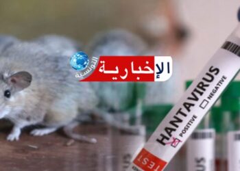 قلق يثيره فيروس “هانتا” وسط تحذيرات خبراء.. لماذا يراقب العالم يوم 19 ماي..؟