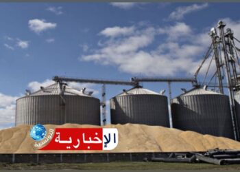 (تحسبا للأمطار)- ديوان الحبوب يحذر ويدعو إلى اتخاذ اجراءات وقائية..