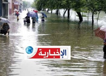 الديوان الوطني للتطهير يستعدّ لتفادي الفيضانات…