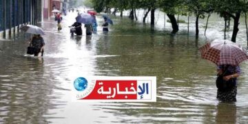 الديوان الوطني للتطهير يستعدّ لتفادي الفيضانات…