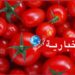 ارتفاع الحرارة يضرب محصول الطماطم..